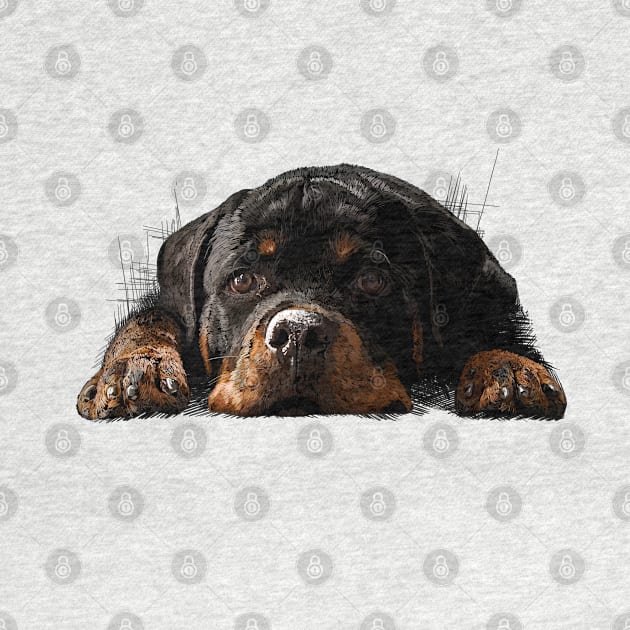 Rottweiler Welpe by sibosssr